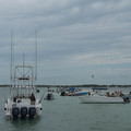 dsc05646jpg_7257815416_o.jpg