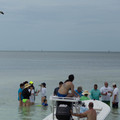 dsc05686jpg_7257846602_o.jpg