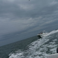 dsc05708jpg_7257874736_o.jpg