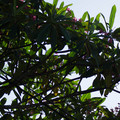 dsc06495jpg_7634607126_o.jpg