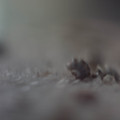 dsc07115jpg_7683877862_o.jpg