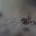 dsc07116jpg_7683878576_o.jpg