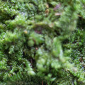 dsc07117jpg_7683879762_o.jpg