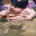 img_1518jpg_7900188072_o.jpg