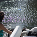 dsc00500jpg_8164186484_o.jpg