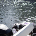 dsc00502jpg_8164152471_o.jpg