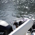 dsc00503jpg_8164152891_o.jpg
