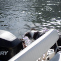 dsc00504jpg_8164153501_o.jpg