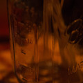 dsc00868jpg_8110278235_o.jpg