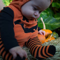 dsc01166jpg_8144810449_o.jpg