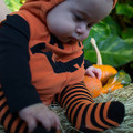 dsc01166jpg_8152600952_o.jpg