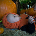 dsc01180jpg_8144814007_o.jpg