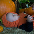 dsc01180jpg_8152605930_o.jpg