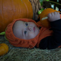 dsc01189jpg_8152580149_o.jpg