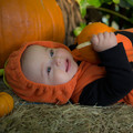dsc01192jpg_8144849800_o.jpg
