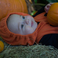 dsc01200jpg_8152587449_o.jpg