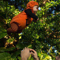 dsc01285jpg_8152632076_o.jpg