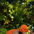 dsc01289jpg_8152607551_o.jpg