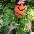 dsc01291jpg_8152635388_o.jpg