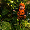 dsc01300jpg_8152637822_o.jpg