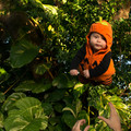 dsc01302jpg_8152638932_o.jpg
