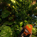 dsc01304jpg_8152639970_o.jpg