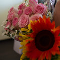 dsc02002jpg_8156214993_o.jpg