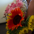 dsc02004jpg_8156216271_o.jpg