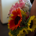dsc02005jpg_8156216829_o.jpg