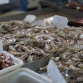 dsc02406jpg_8244053537_o.jpg