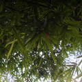 dsc00308jpg_8779333179_o.jpg