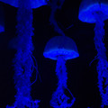 dsc00756jpg_8958499661_o.jpg