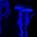 dsc00761jpg_8958500771_o.jpg