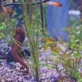 dsc00776jpg_8959701020_o.jpg