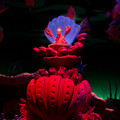 dsc01442jpg_8971640542_o.jpg