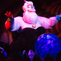 dsc01447jpg_8971642180_o.jpg