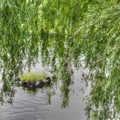 dsc03227_tonemappedjpg_9343764579_o.jpg