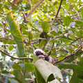 dsc02876jpg_9346820086_o.jpg