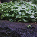 dsc02906jpg_9344032941_o.jpg