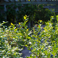 dsc03101jpg_9346864664_o.jpg