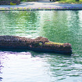 dsc03525jpg_9346867340_o.jpg