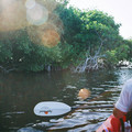 82770001jpg_10147558563_o.jpg