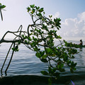 82770003jpg_10147562043_o.jpg