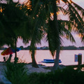 82770017jpg_10147342854_o.jpg