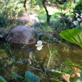 dsc03710jpg_10421609794_o.jpg