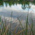 dsc05169jpg_10421664736_o.jpg