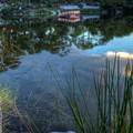 dsc05255_6jpg_10421688666_o.jpg