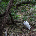 dsc04178-editjpg_12781005345_o.jpg