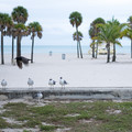 dscf0187-xf35mmf14-rjpg_16207838518_o.jpg