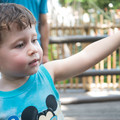 20140723-xf27mmf28jpg_18662676624_o.jpg